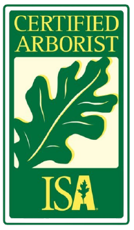 ISA Certificado